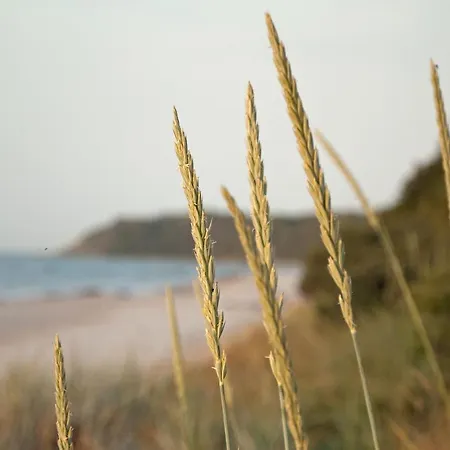 Sehnsucht Rügen - Dat Middelste